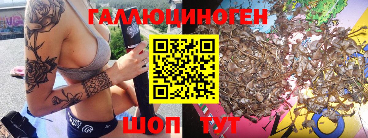 продажа наркотиков  Вход с VPN  Коломна  Псилоцибиновые грибы MAGIC MUSHROOMS  Галлюциногенные грибы MAGIC MUSHROOMS 